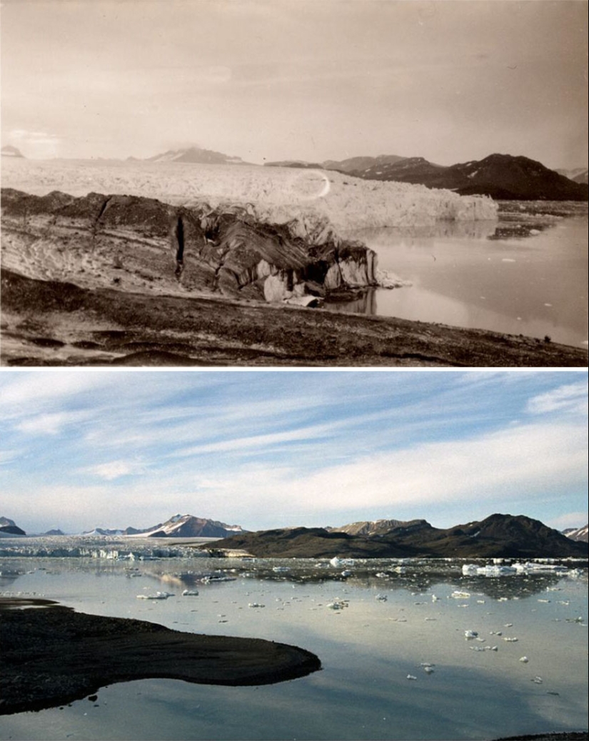 How the Arctic is melting: an impressive comparison of the frames of the XX century and modern