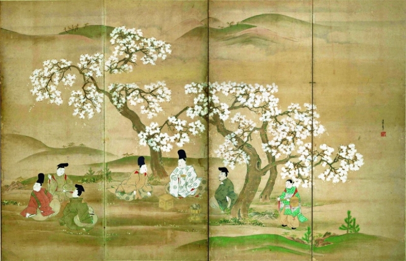 How the cherry blossom became a sacred tree for the Japanese