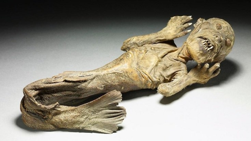 How the cult of mermaids "ningyo" appeared in Japan and why their mummies are so valued