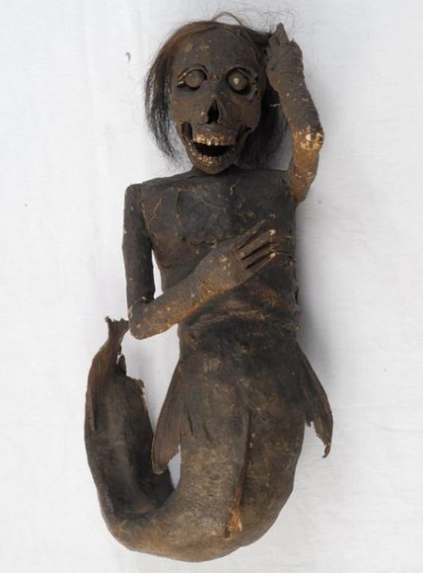 How the cult of mermaids "ningyo" appeared in Japan and why their mummies are so valued