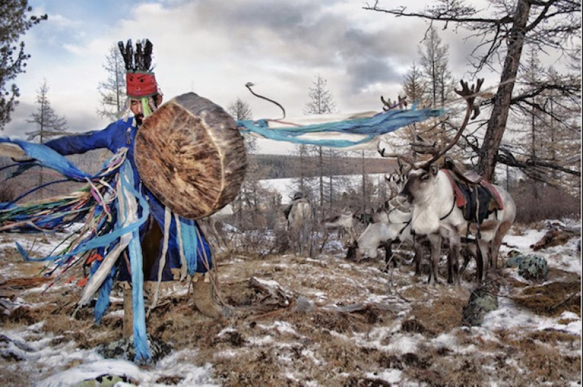 How the endangered tribe of reindeer herders from Mongolia lives