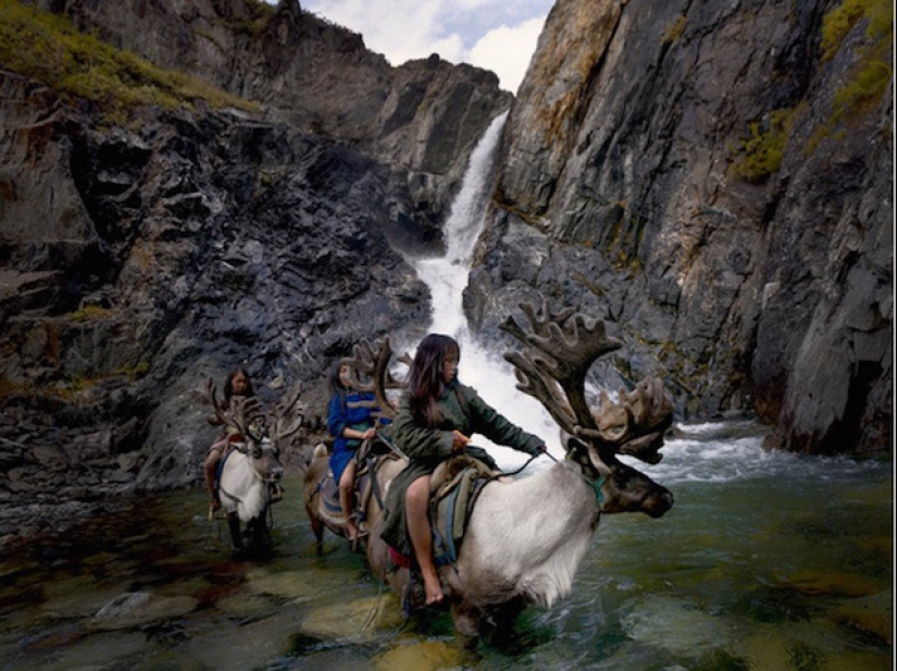 How the endangered tribe of reindeer herders from Mongolia lives