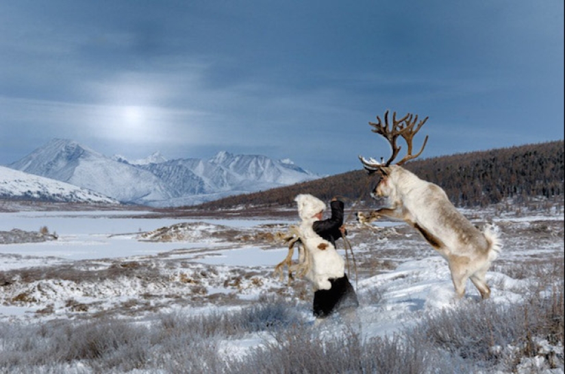 How the endangered tribe of reindeer herders from Mongolia lives