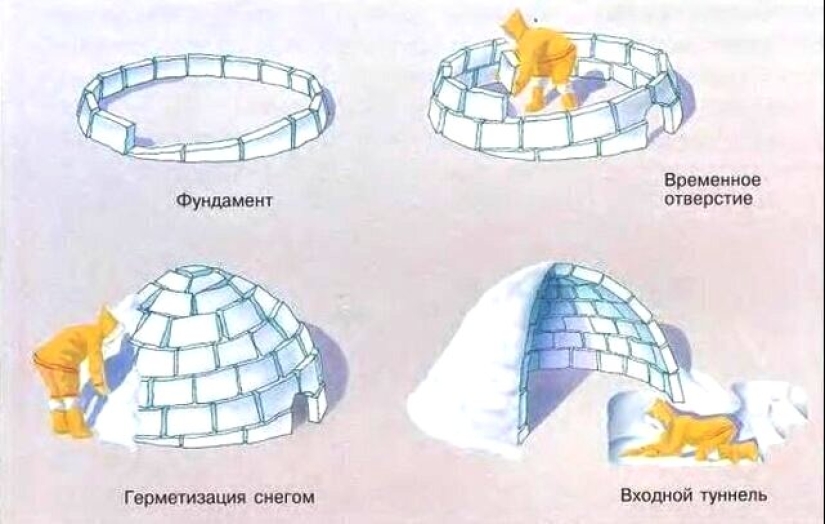 How the igloo is arranged - the winter dwelling of the Eskimos