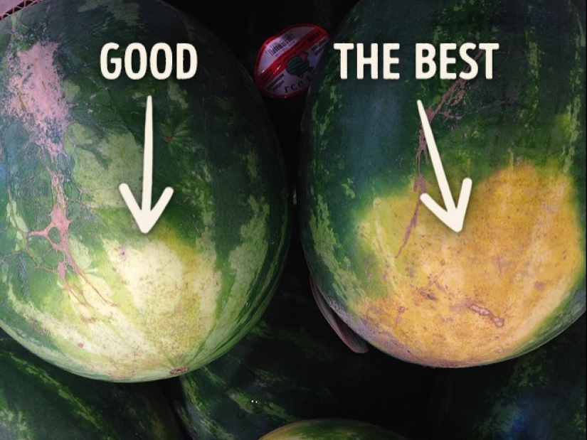 How to choose the right juicy and sweet watermelon