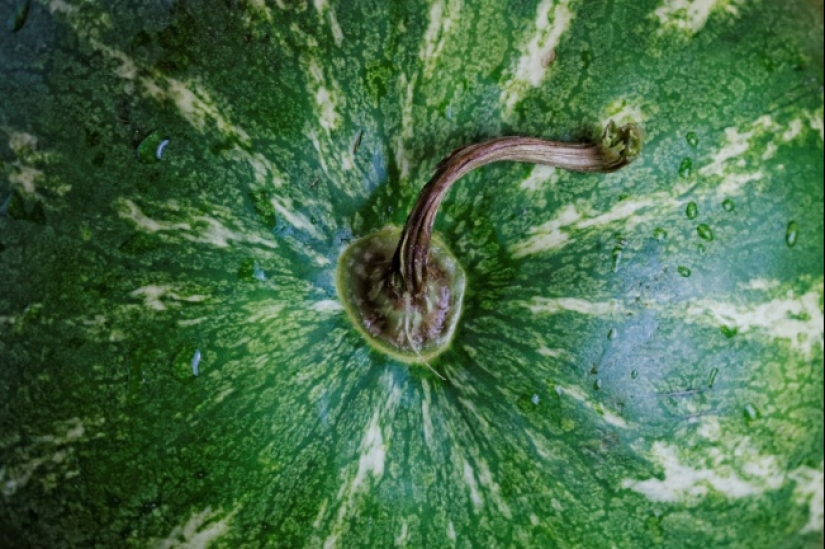 How to choose the right juicy and sweet watermelon