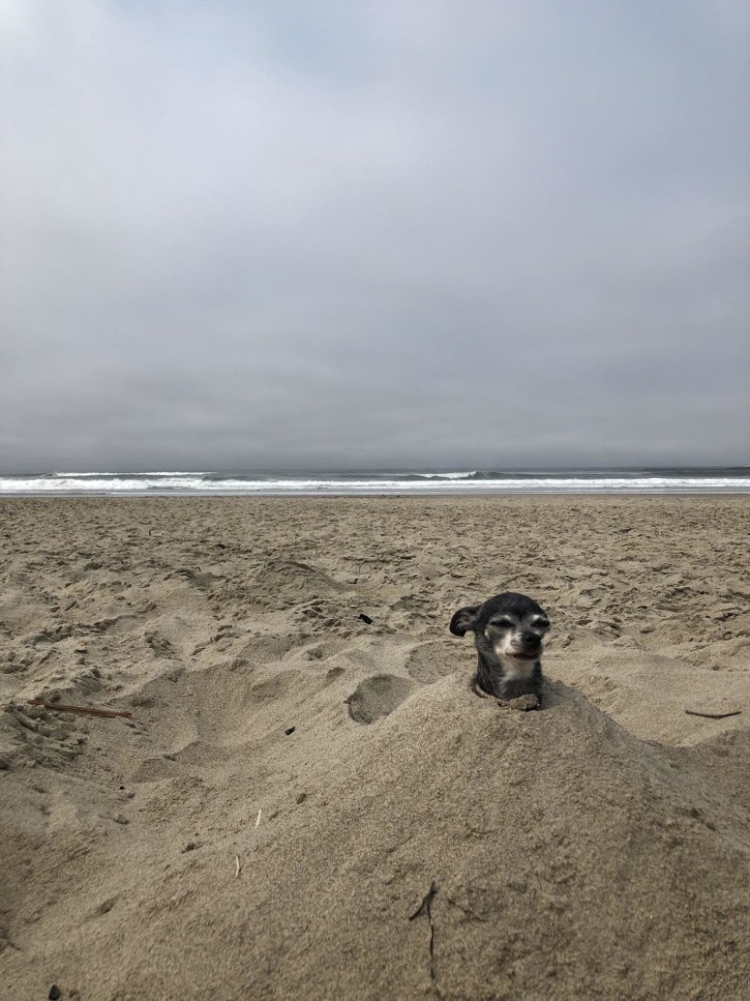 How to entertain yourself on the beach? Before that fun can not resist no one