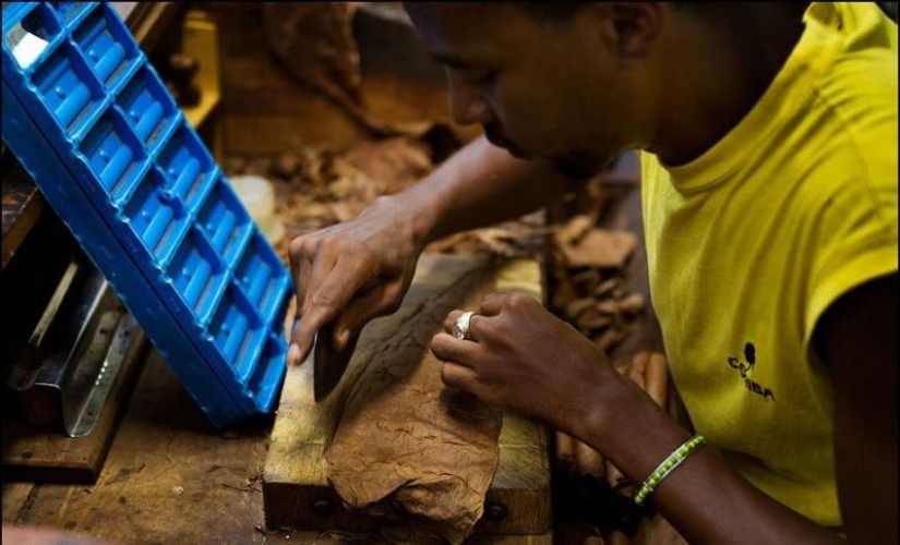 How to make the best Cuban cigars