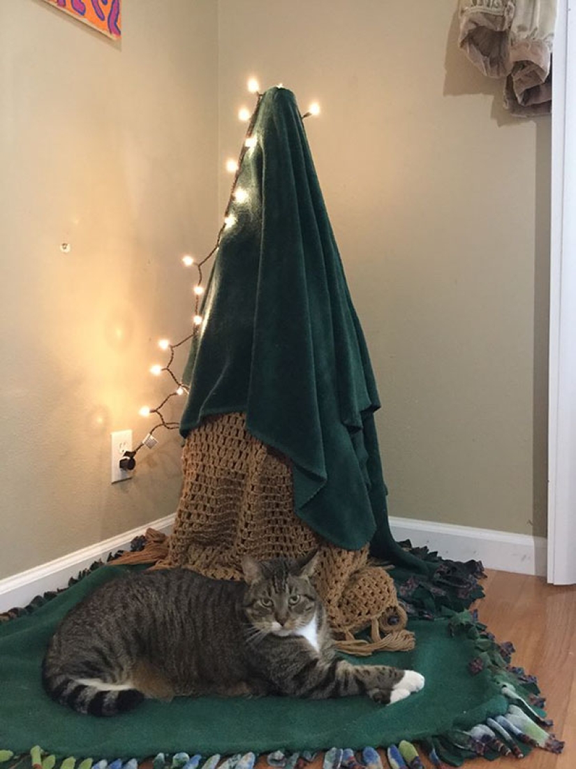 How to protect a Christmas tree from harmful and audacious pets