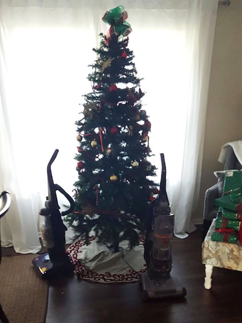 How to protect a Christmas tree from harmful and audacious pets