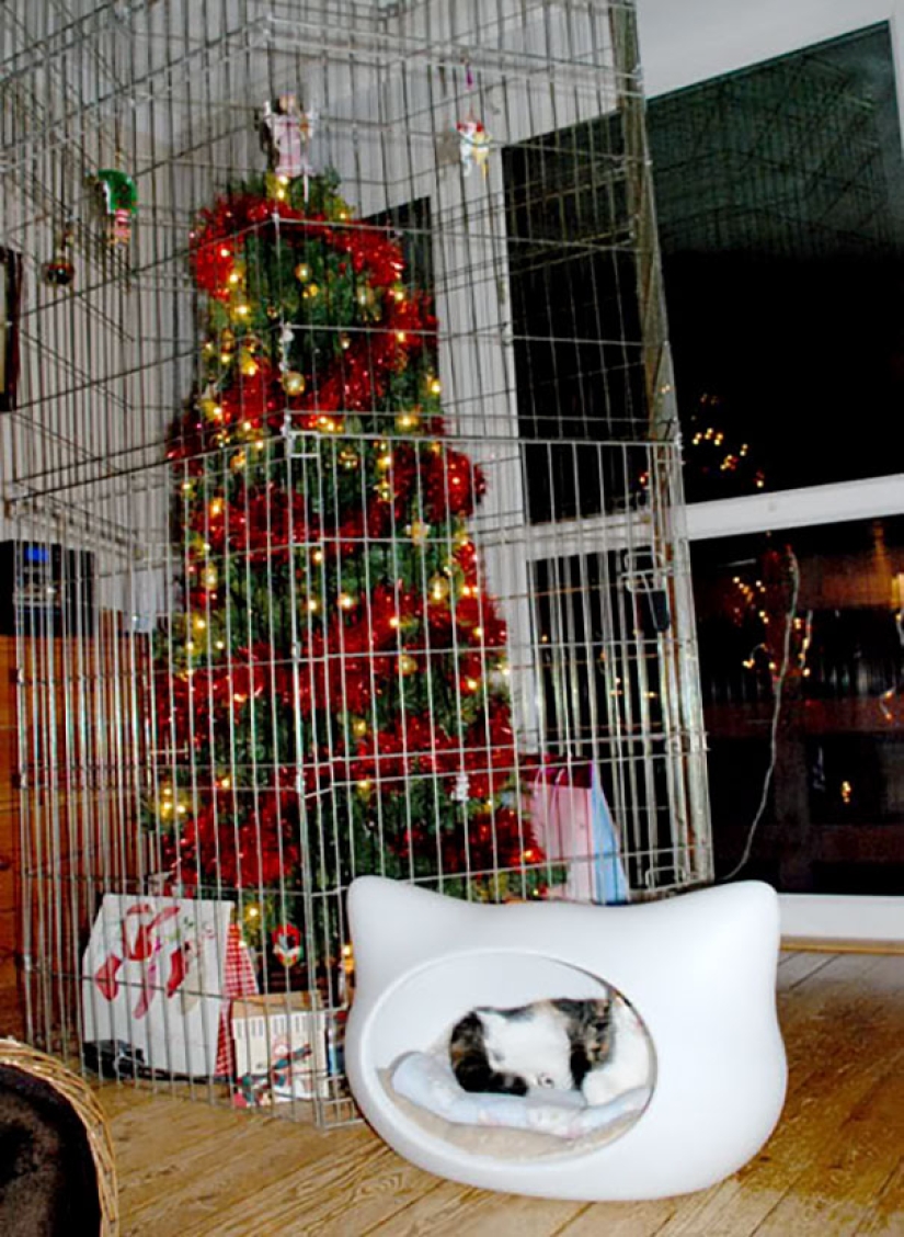 How to protect a Christmas tree from harmful and audacious pets