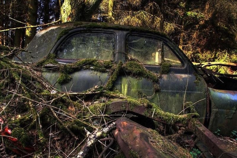 Huge traffic jam in the Belgian forest