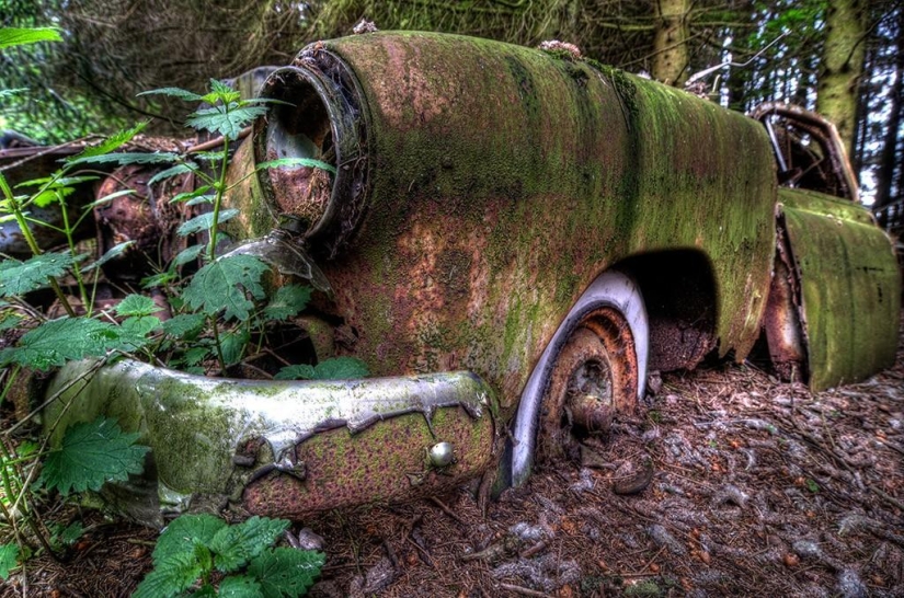 Huge traffic jam in the Belgian forest