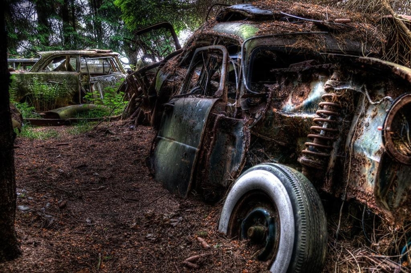 Huge traffic jam in the Belgian forest