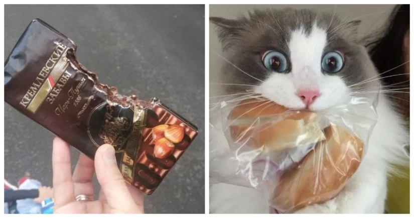 Hunger is not an aunt: 25 photos about a wonderful appetite that will definitely make you laugh