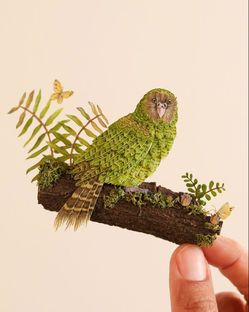 I Create Paper Art, And Here’s My Collection Of 20 Miniature Parrots