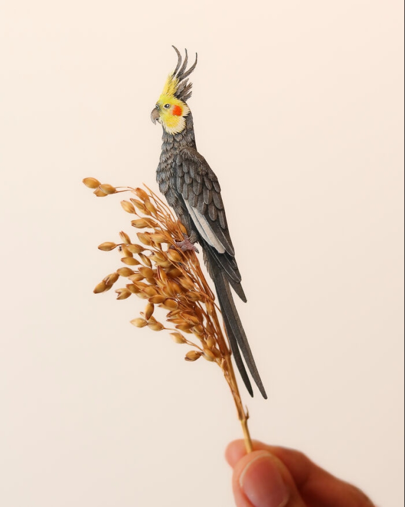 I Create Paper Art, And Here’s My Collection Of 20 Miniature Parrots