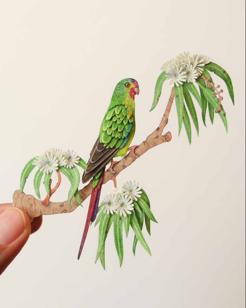 I Create Paper Art, And Here’s My Collection Of 20 Miniature Parrots