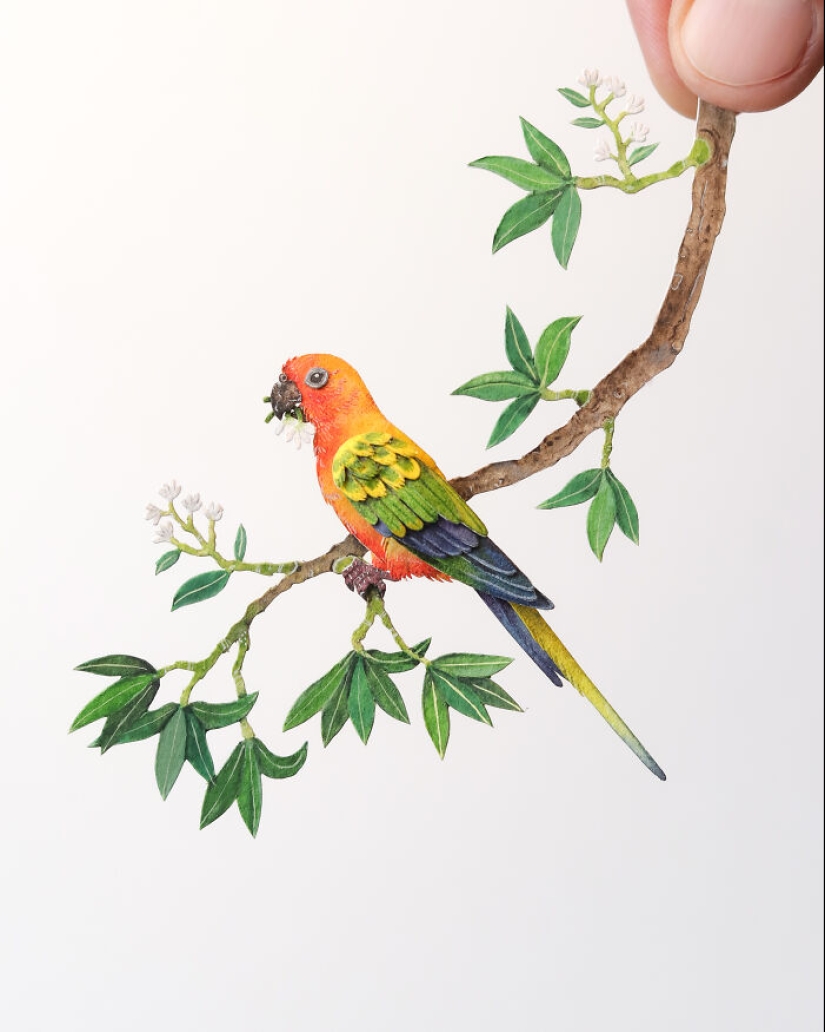 I Create Paper Art, And Here’s My Collection Of 20 Miniature Parrots