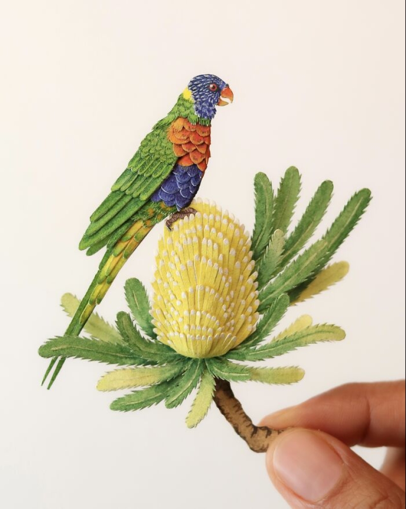 I Create Paper Art, And Here’s My Collection Of 20 Miniature Parrots