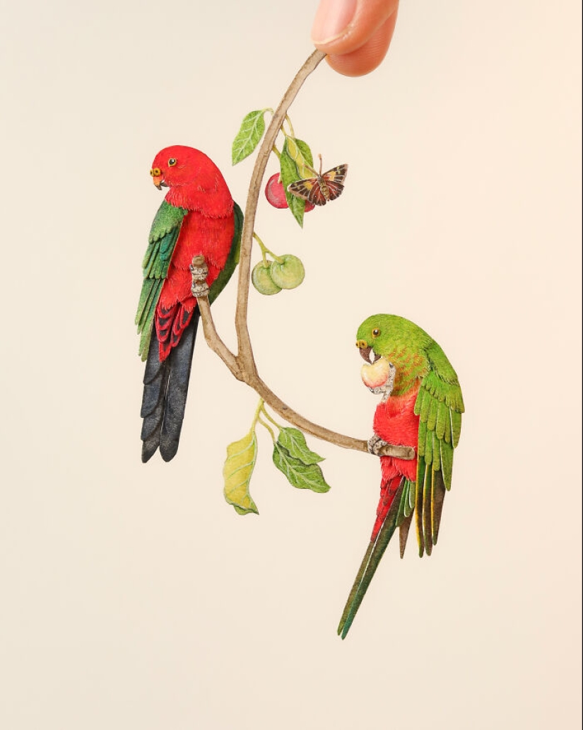 I Create Paper Art, And Here’s My Collection Of 20 Miniature Parrots