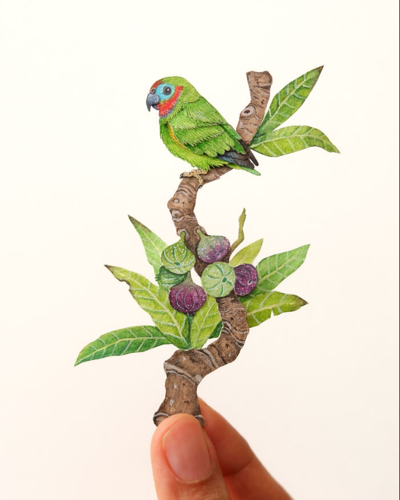 I Create Paper Art, And Here’s My Collection Of 20 Miniature Parrots