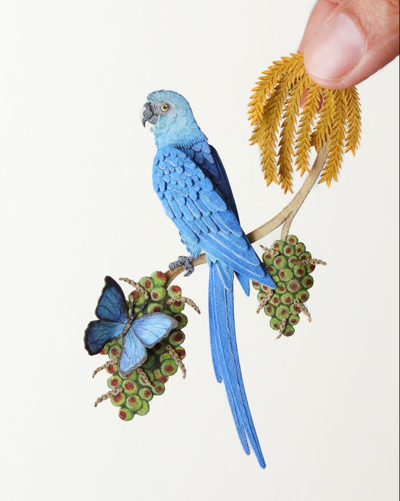 I Create Paper Art, And Here’s My Collection Of 20 Miniature Parrots