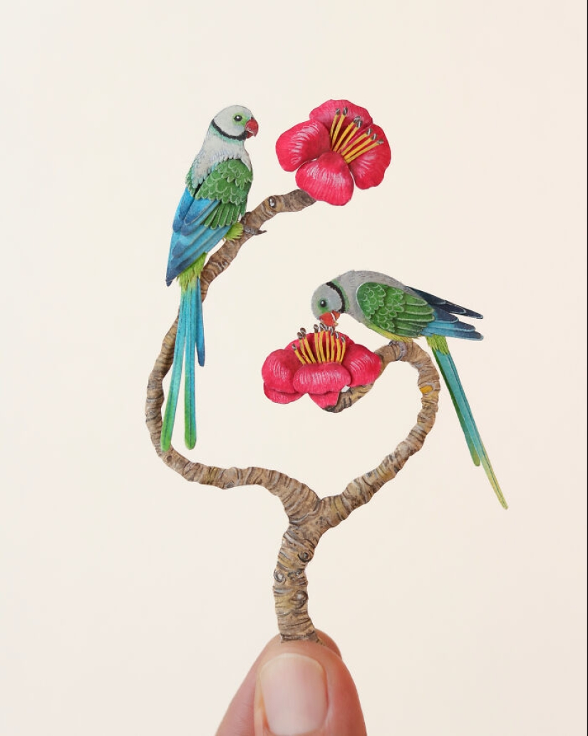 I Create Paper Art, And Here’s My Collection Of 20 Miniature Parrots