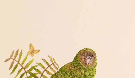 I Create Paper Art, And Here’s My Collection Of 20 Miniature Parrots