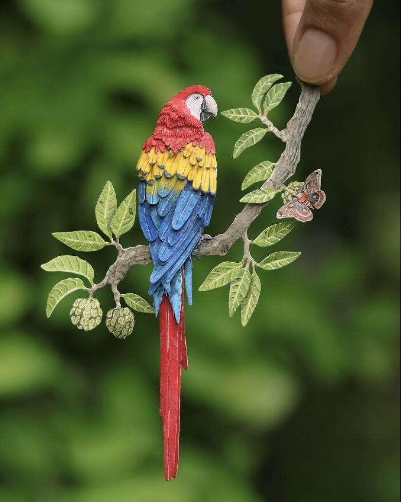 I Create Paper Art, And Here’s My Collection Of 20 Miniature Parrots ...