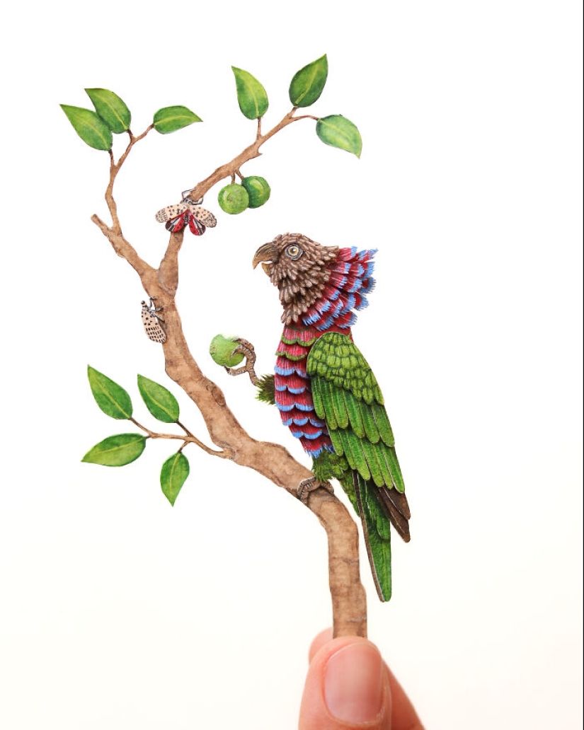 I Create Paper Art, And Here’s My Collection Of 20 Miniature Parrots