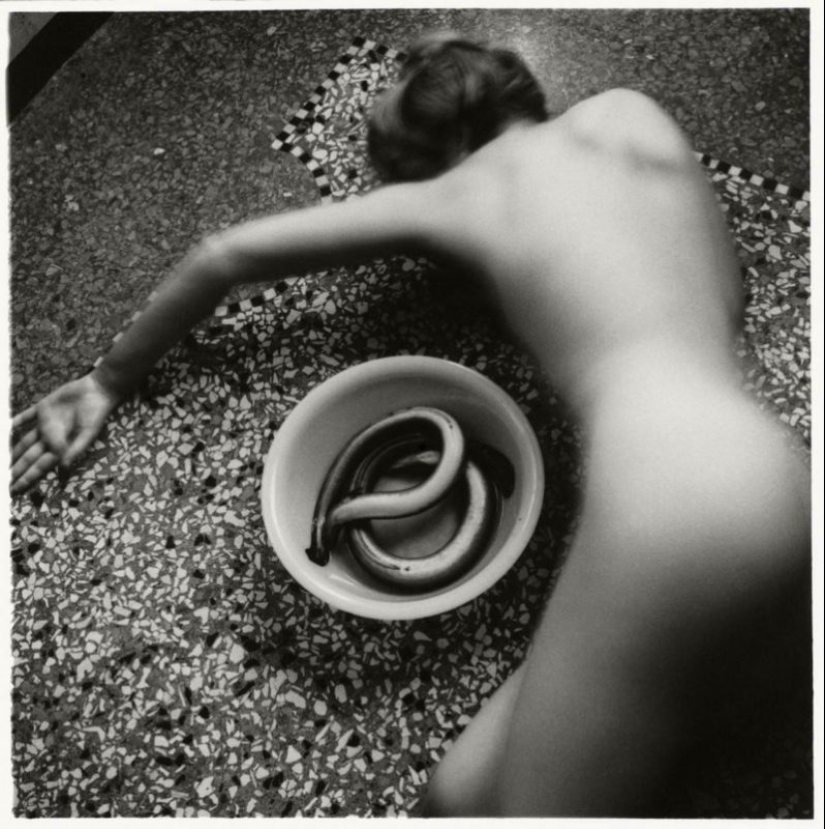 "I invented language so people could see": the life and death of Francesca Woodman