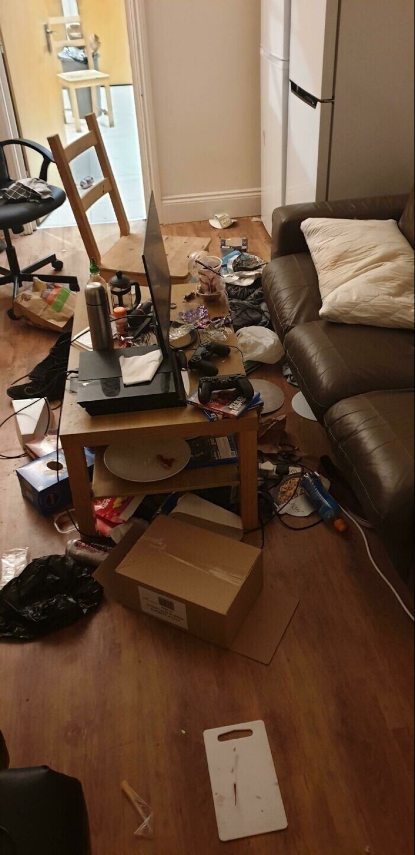 "I live with a monster!" 35 photos of complete chaos from the kings of the mess