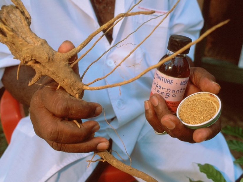 Iboga: cómo un ritual mortal de África se hizo popular en Occidente