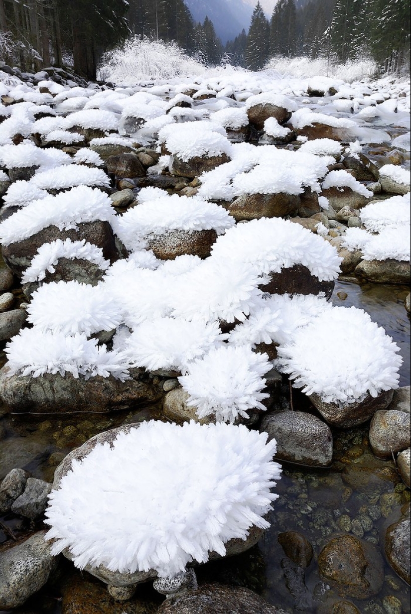 Ice inspiration — 23 photos of interesting ice formations