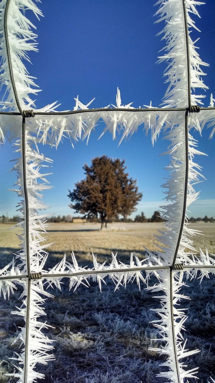 Ice inspiration — 23 photos of interesting ice formations