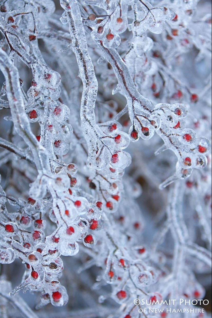 Ice inspiration — 23 photos of interesting ice formations