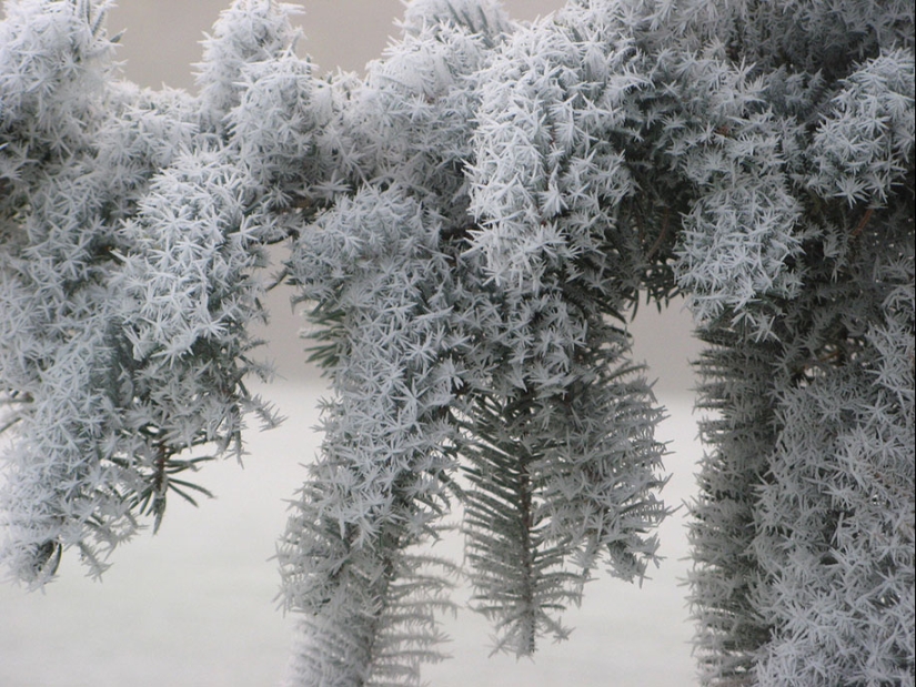 Ice inspiration — 23 photos of interesting ice formations