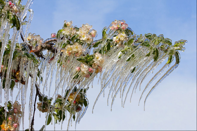 Ice inspiration — 23 photos of interesting ice formations