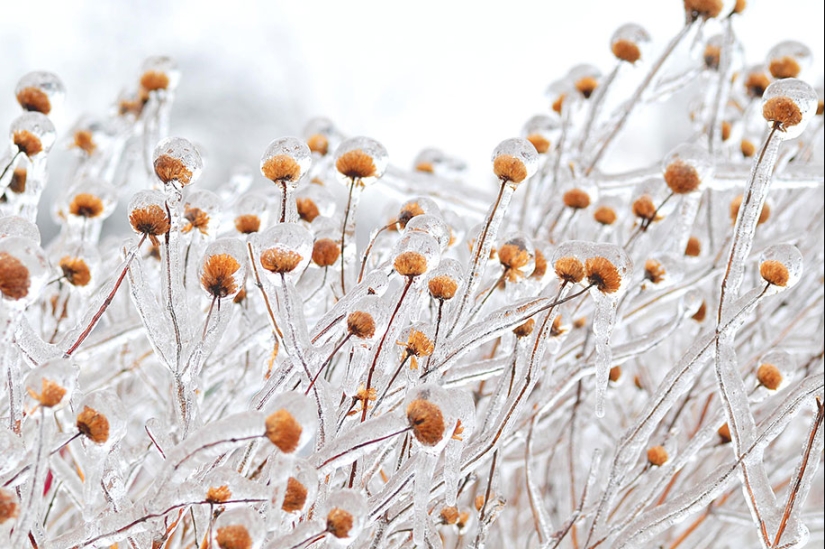 Ice inspiration — 23 photos of interesting ice formations