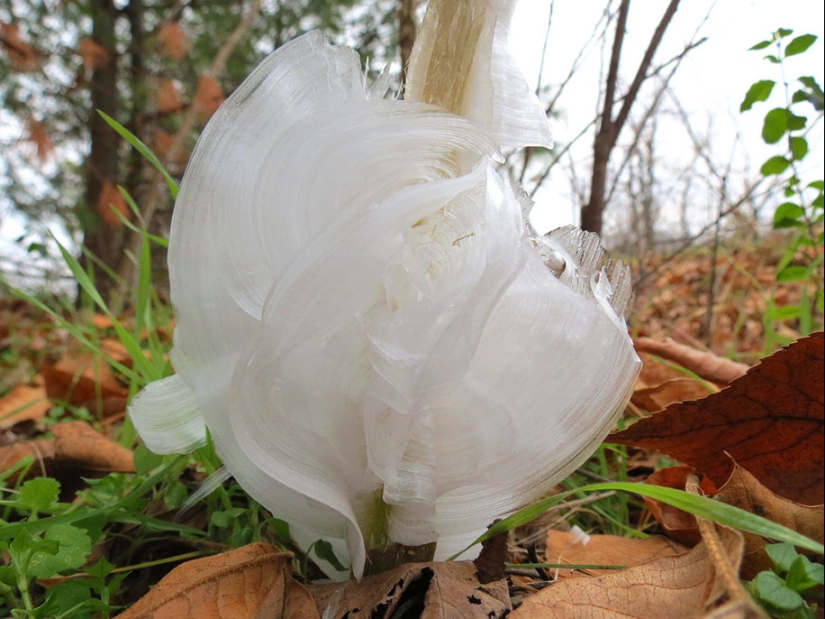 Ice inspiration — 23 photos of interesting ice formations