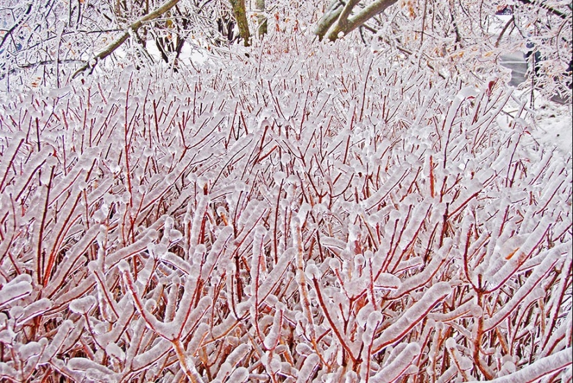 Ice inspiration — 23 photos of interesting ice formations