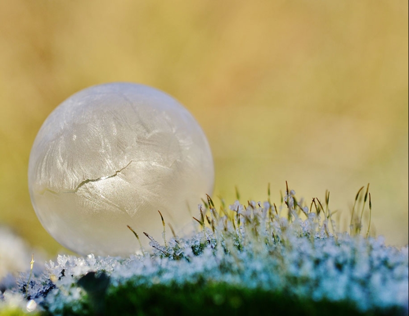 Ice inspiration — 23 photos of interesting ice formations