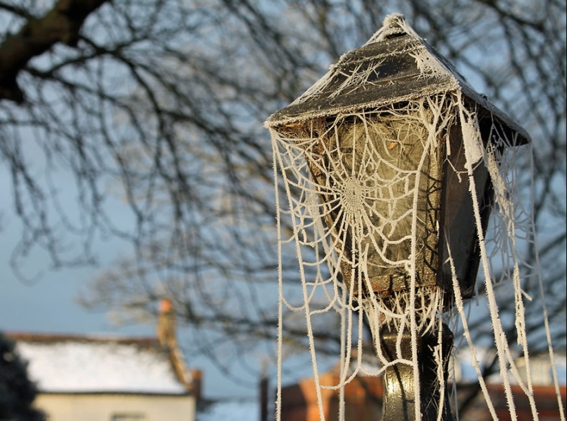 Ice inspiration — 23 photos of interesting ice formations