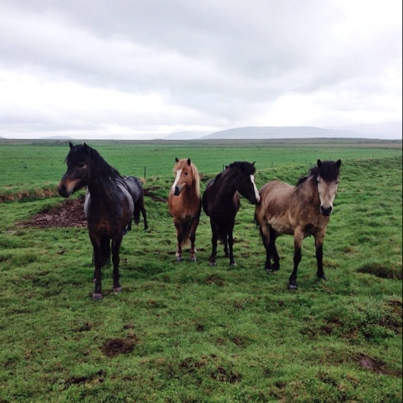 Iceland is a land of extreme contrasts