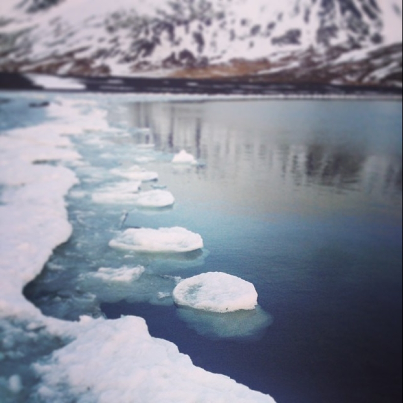 Iceland is a land of extreme contrasts