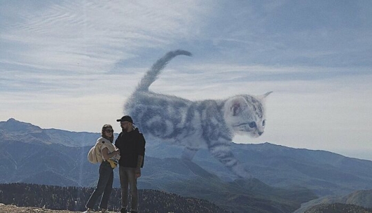 If Cats Were Giants: Artist Explores Surreal Concept By Creating Realistic-Looking Images