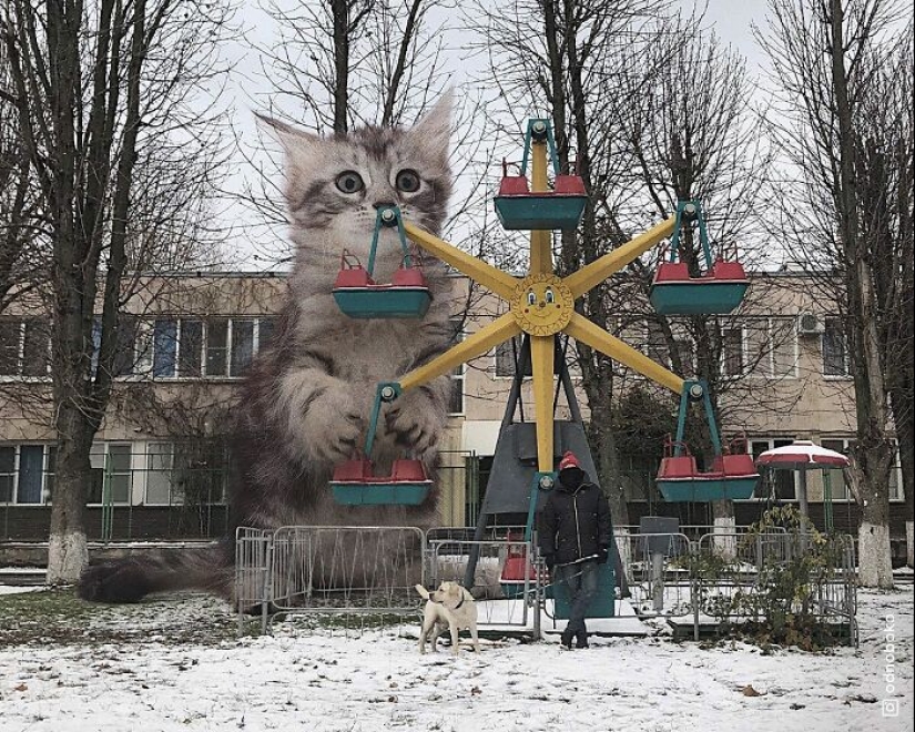 If Cats Were Giants: Artist Explores Surreal Concept By Creating Realistic-Looking Images