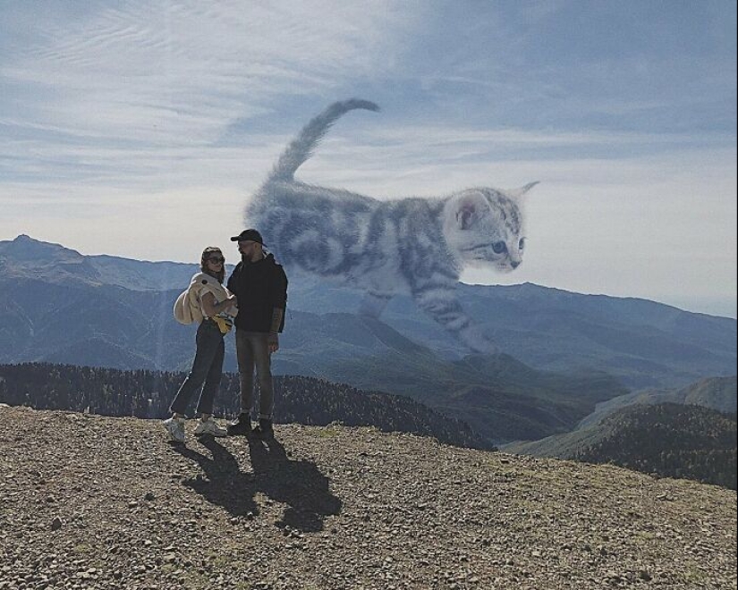 If Cats Were Giants: Artist Explores Surreal Concept By Creating Realistic-Looking Images