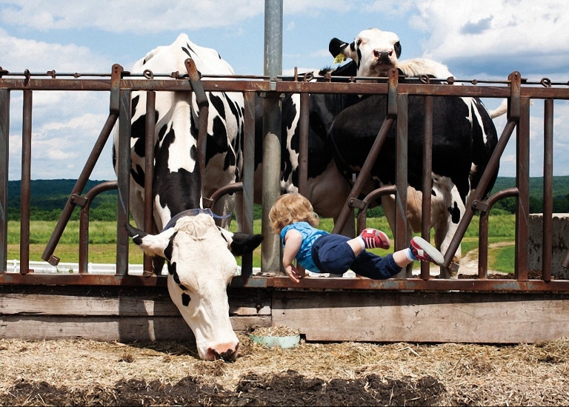 If children flew: positive photo series of a bored Rachel Gulin on maternity leave